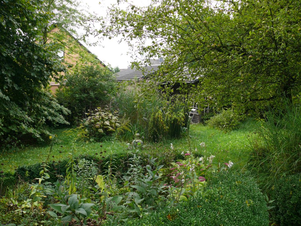 Naturnaher Garten mit Teich und Gartenschuppen